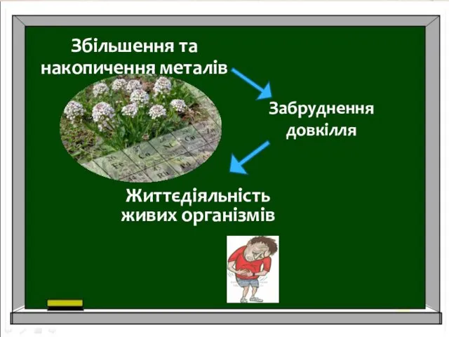 Забруднення довкілля Збільшення та накопичення металів Життєдіяльність живих організмів