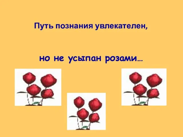 Путь познания увлекателен, но не усыпан розами…