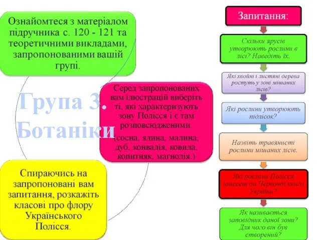 Група 3. Ботаніки