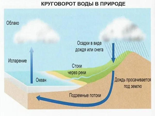 КРУГОВОРОТ ВОДЫ В ПРИРОДЕ