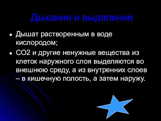 Дыхание и выделение Дышат растворенным в воде кислородом; СО2 и другие