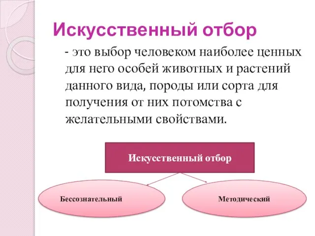 Искусственный отбор - это выбор человеком наиболее ценных для него особей