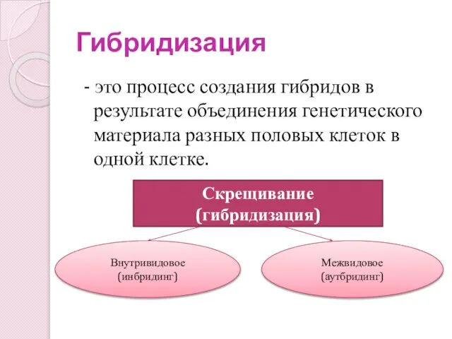 Гибридизация - это процесс создания гибридов в результате объединения генетического материала