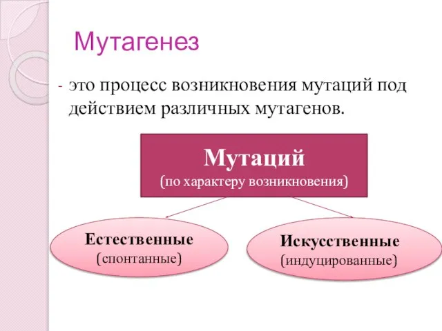 Мутагенез это процесс возникновения мутаций под действием различных мутагенов. Естественные (спонтанные)