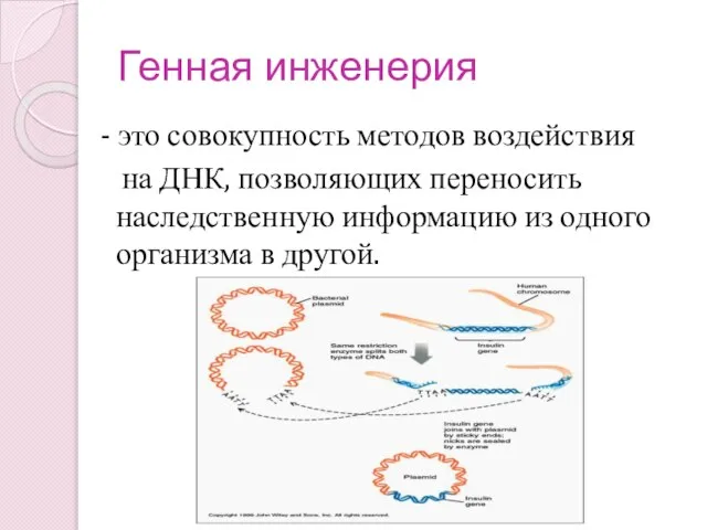 Генная инженерия - это совокупность методов воздействия на ДНК, позволяющих переносить