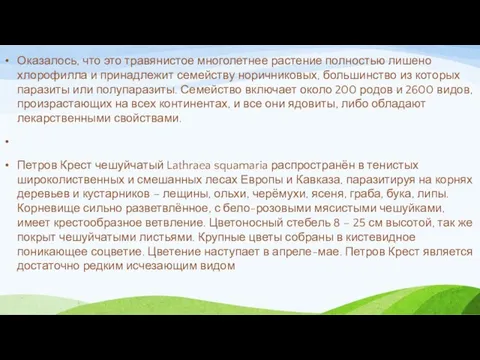 Оказалось, что это травянистое многолетнее растение полностью лишено хлорофилла и принадлежит