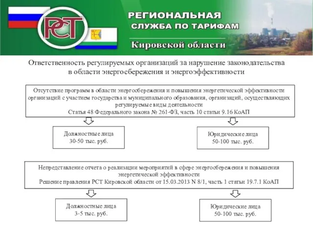 Ответственность регулируемых организаций за нарушение законодательства в области энергосбережения и энергоэффективности