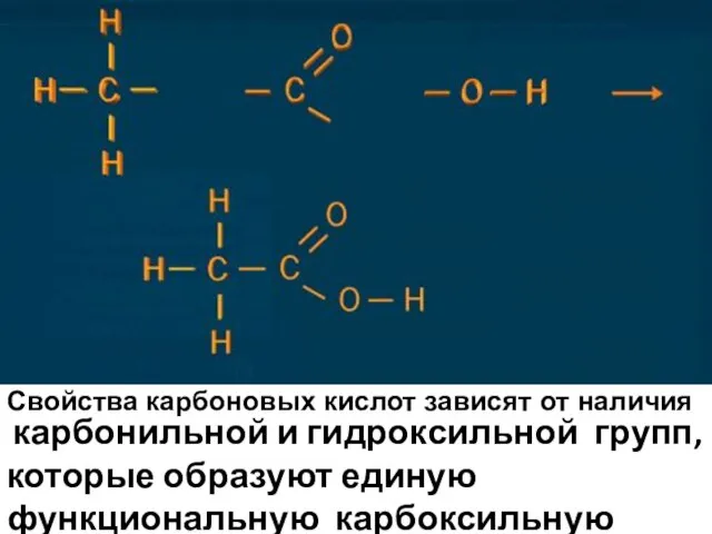 карбонильной и гидроксильной групп, которые образуют единую функциональную карбоксильную группу. Свойства карбоновых кислот зависят от наличия