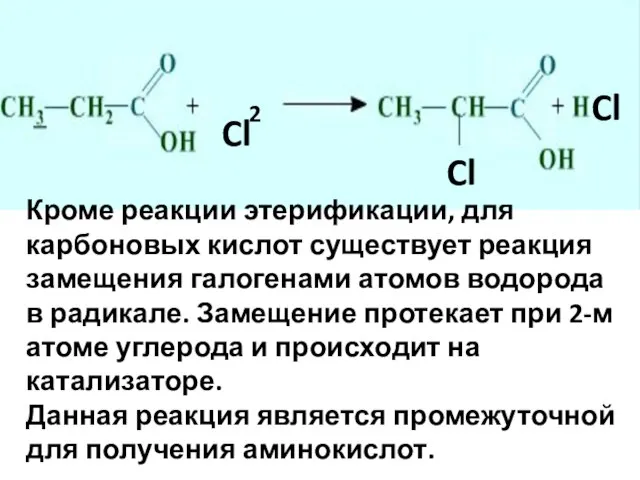 Cl Cl Cl 2 Кроме реакции этерификации, для карбоновых кислот существует