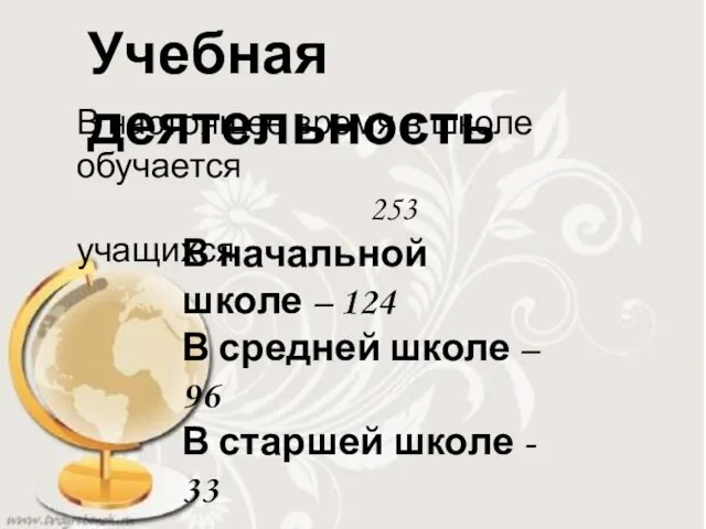 Учебная деятельность В настоящее время в школе обучается 253 учащихся В