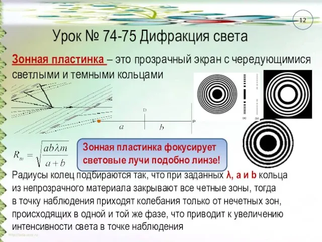 Урок № 74-75 Дифракция света Зонная пластинка – это прозрачный экран