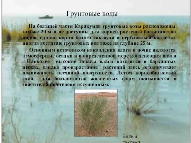 Грунтовые воды На большей части Каракумов грунтовые воды расположены глубже 20