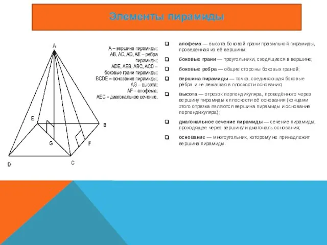 апофема — высота боковой грани правильной пирамиды, проведённая из её вершины;