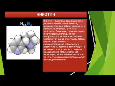 НИКОТИН Никотин — алкалоид, содержащийся в растениях семейства паслёновых, преимущественно в