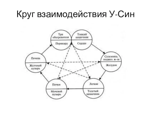 Круг взаимодействия У-Син