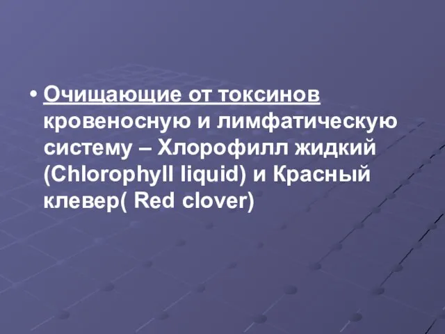 Очищающие от токсинов кровеносную и лимфатическую систему – Хлорофилл жидкий(Chlorophyll liquid) и Красный клевер( Red clover)