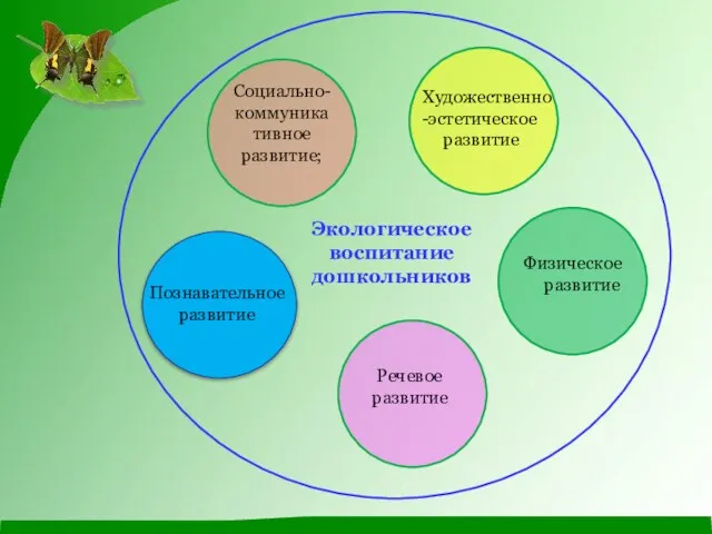 Физическое развитие Речевое развитие Познавательное развитие Социально-коммуника тивное развитие; Художественно-эстетическое развитие Экологическое воспитание дошкольников