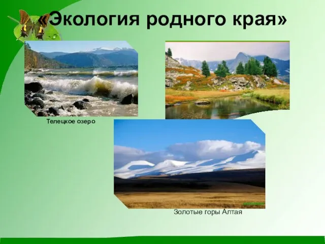 «Экология родного края» Телецкое озеро Золотые горы Алтая