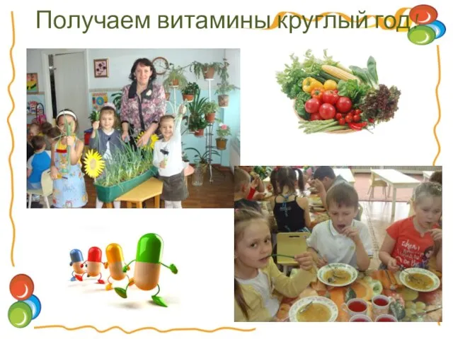 Получаем витамины круглый год!