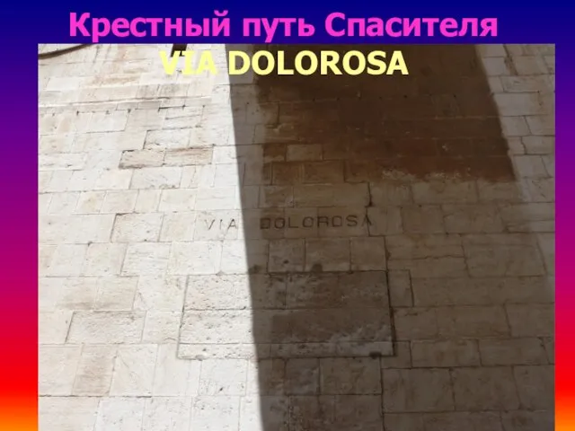 Крестный путь Спасителя VIA DOLOROSA