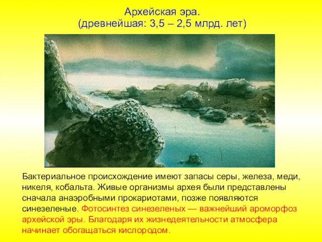 Бактериальное происхождение имеют запасы серы, железа, меди, никеля, кобальта. Живые организмы