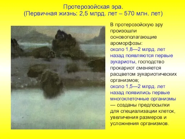 В протерозойскую эру произошли основополагающие ароморфозы: около 1,8—2 млрд. лет назад