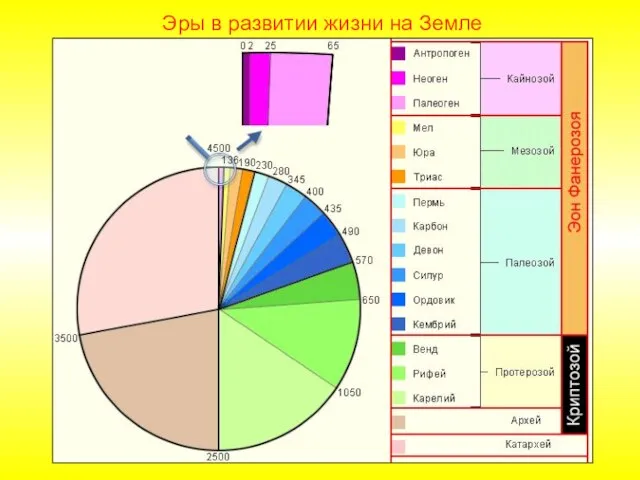 Эры в развитии жизни на Земле