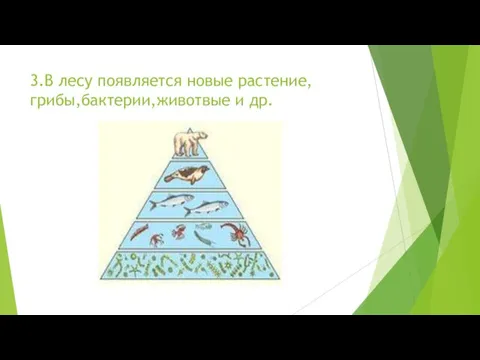 3.В лесу появляется новые растение,грибы,бактерии,животвые и др.