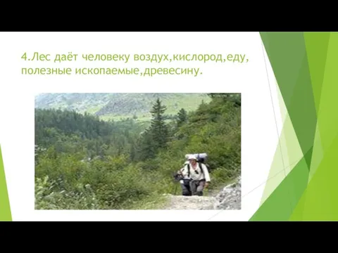 4.Лес даёт человеку воздух,кислород,еду,полезные ископаемые,древесину.