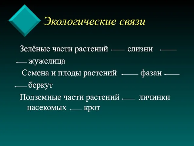 Экологические связи Зелёные части растений слизни жужелица Семена и плоды растений