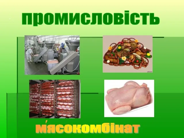 промисловість мясокомбінат ′ ′