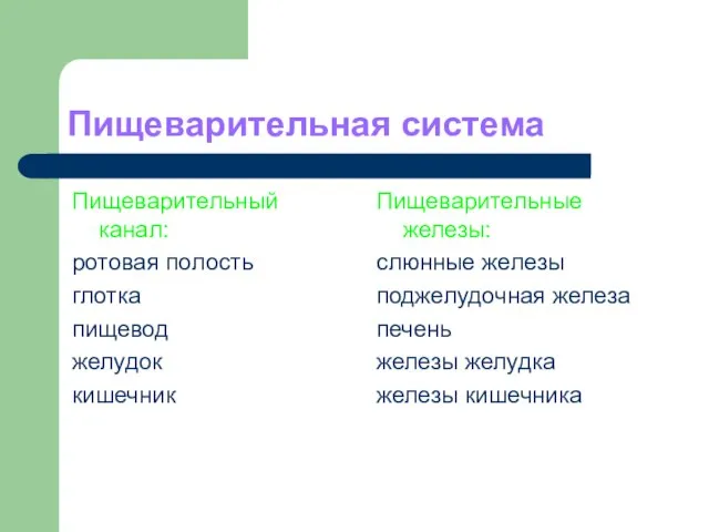 Пищеварительная система Пищеварительный канал: ротовая полость глотка пищевод желудок кишечник Пищеварительные