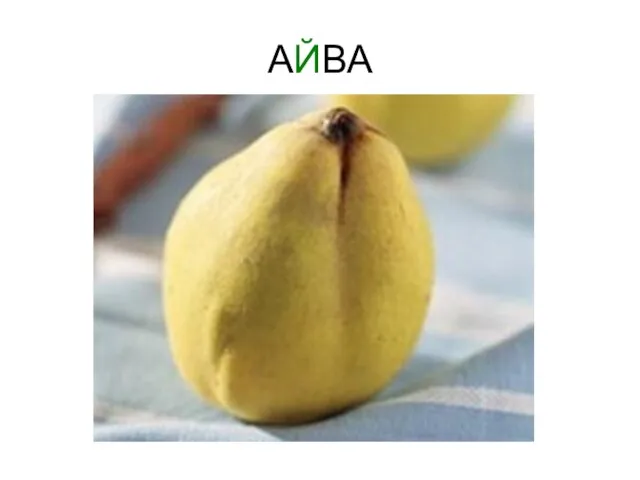 АЙВА