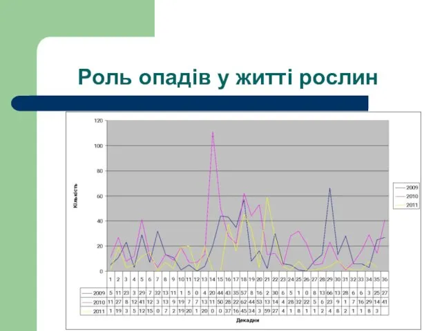 Роль опадів у житті рослин