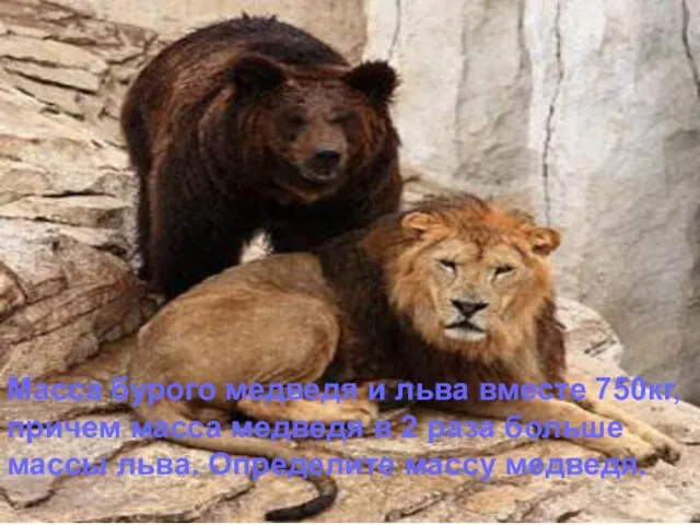 Масса бурого медведя и льва вместе 750кг, причем масса медведя в