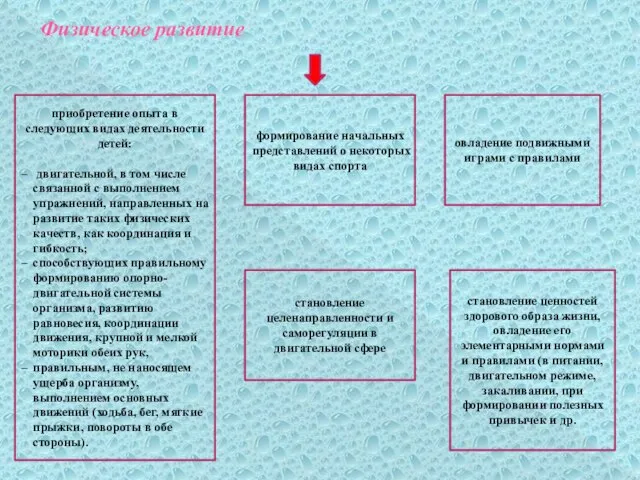 Физическое развитие приобретение опыта в следующих видах деятельности детей: двигательной, в