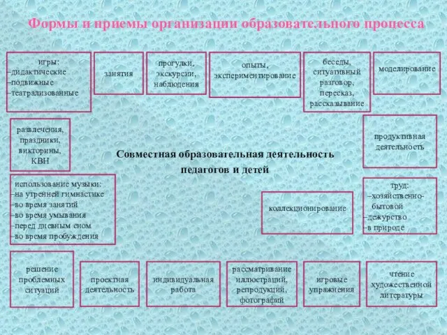 Формы и приемы организации образовательного процесса Совместная образовательная деятельность педагогов и