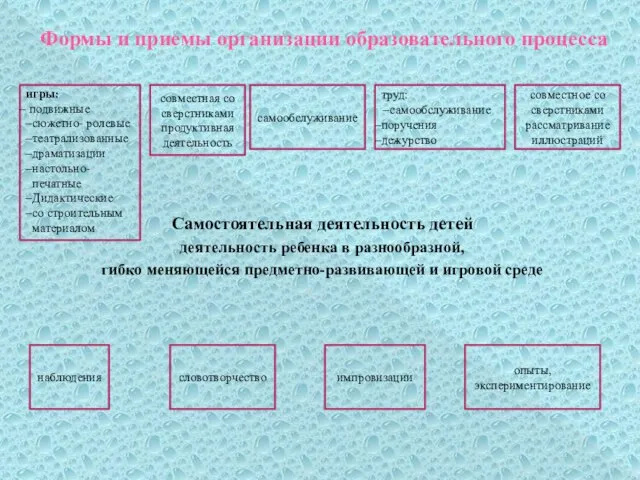 Формы и приемы организации образовательного процесса Самостоятельная деятельность детей деятельность ребенка