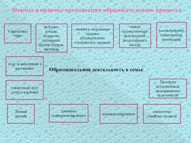 Формы и приемы организации образовательного процесса Образовательная деятельность в семье Совместные