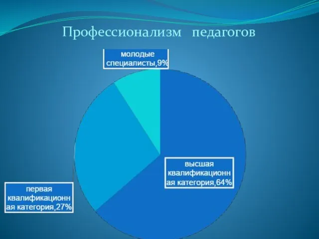 Профессионализм педагогов