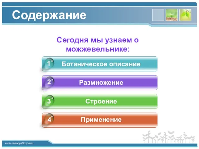 Содержание Ботаническое описание Размножение Строение Применение 4 1 2 3 Сегодня мы узнаем о можжевельнике: