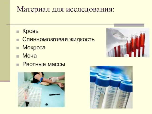 Материал для исследования: Кровь Спинномозговая жидкость Мокрота Моча Рвотные массы