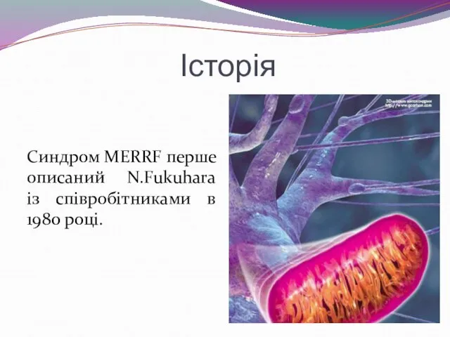 Історія Синдром MERRF перше описаний N.Fukuhara із співробітниками в 1980 році.