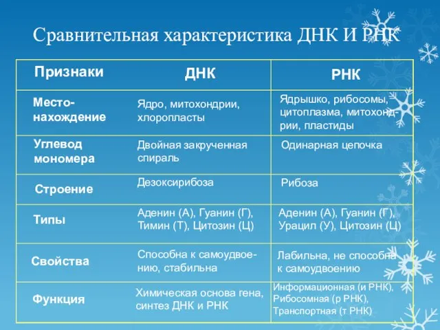 Сравнительная характеристика ДНК И РНК Признаки ДНК РНК Место- нахождение Строение