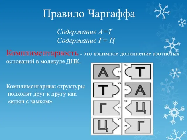 Правило Чаргаффа Содержание А=Т Содержание Г= Ц Комплиментарность - это взаимное