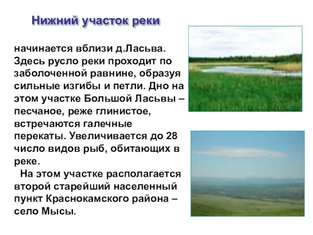 начинается вблизи д.Ласьва. Здесь русло реки проходит по заболоченной равнине, образуя