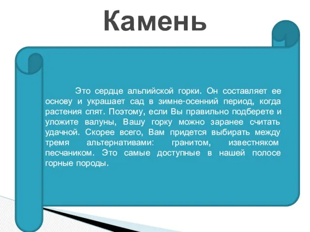 Камень Это сердце альпийской горки. Он составляет ее основу и украшает