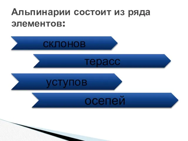 Альпинарии состоит из ряда элементов: склонов терасс уступов осепей