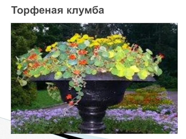 Торфеная клумба