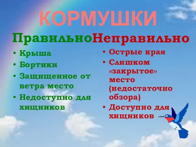 КОРМУШКИ Правильно Крыша Бортики Защищенное от ветра место Недоступно для хищников